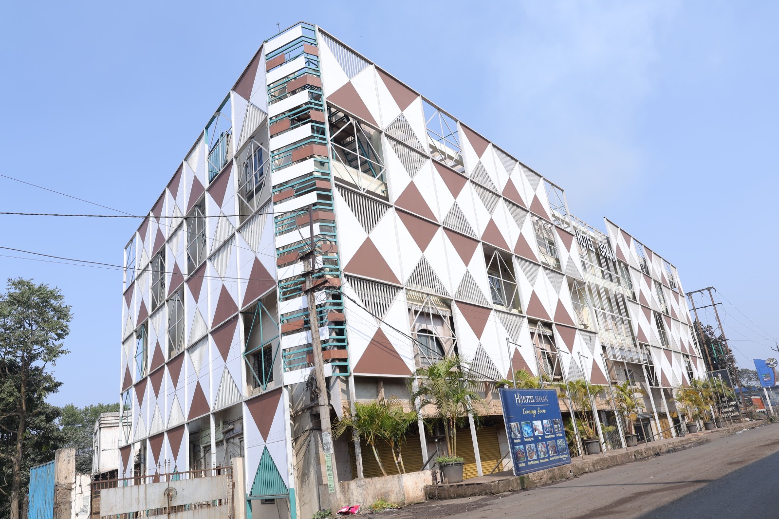 Bougainvilleas on Lombard Street,  San Francisco, Tokyo