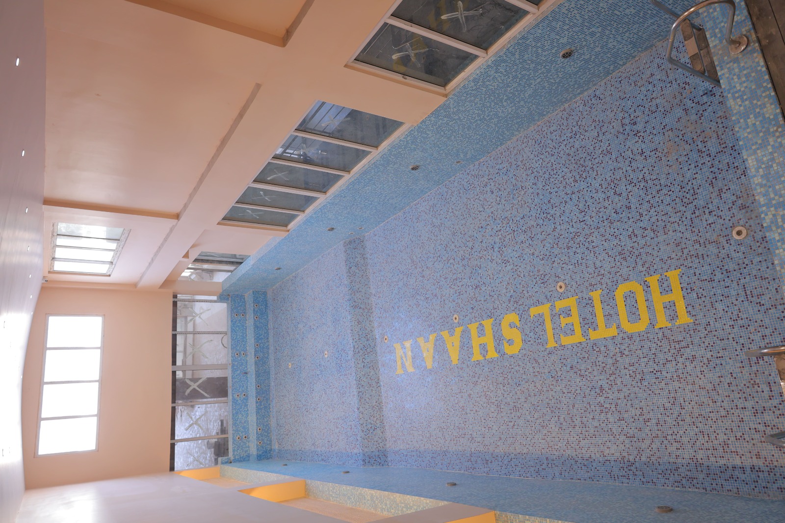 Bougainvilleas on Lombard Street,  San Francisco, Tokyo
